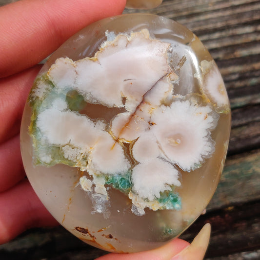 Flower Agate Palm Stone (#40)