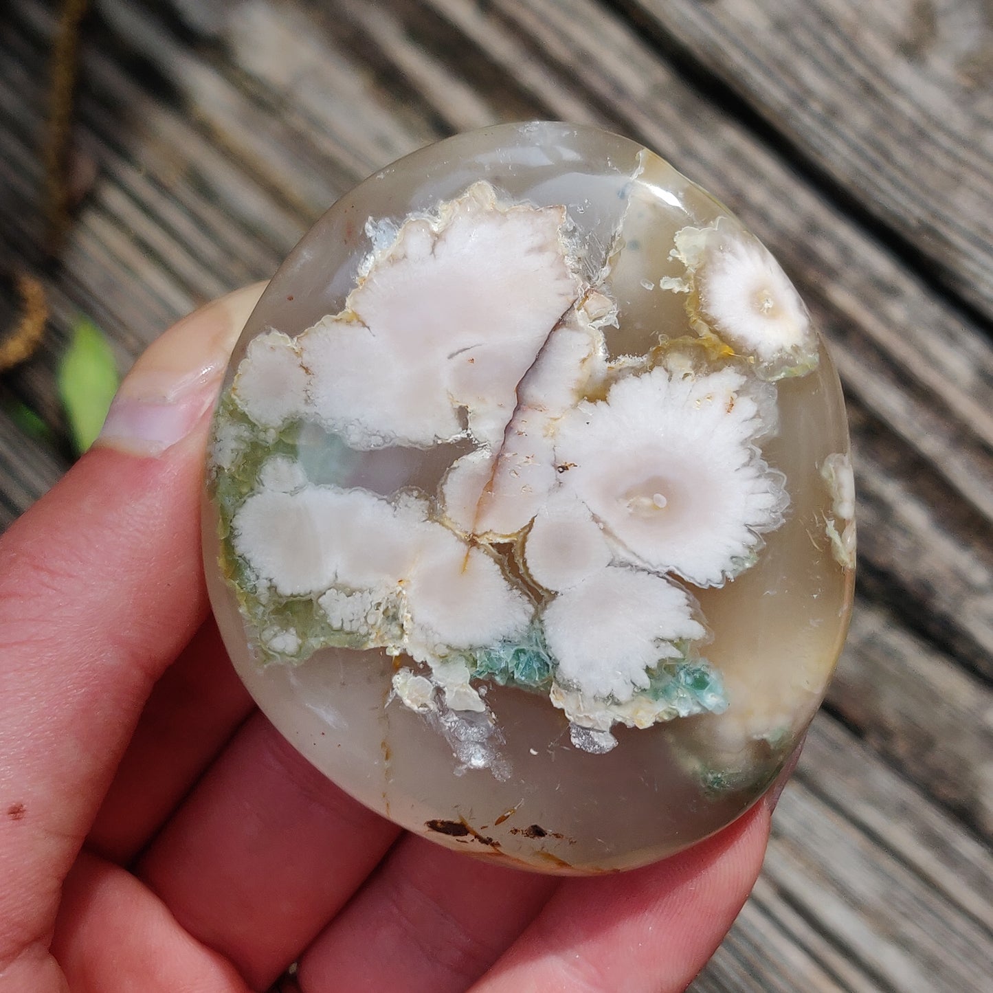 Flower Agate Palm Stone (#40)