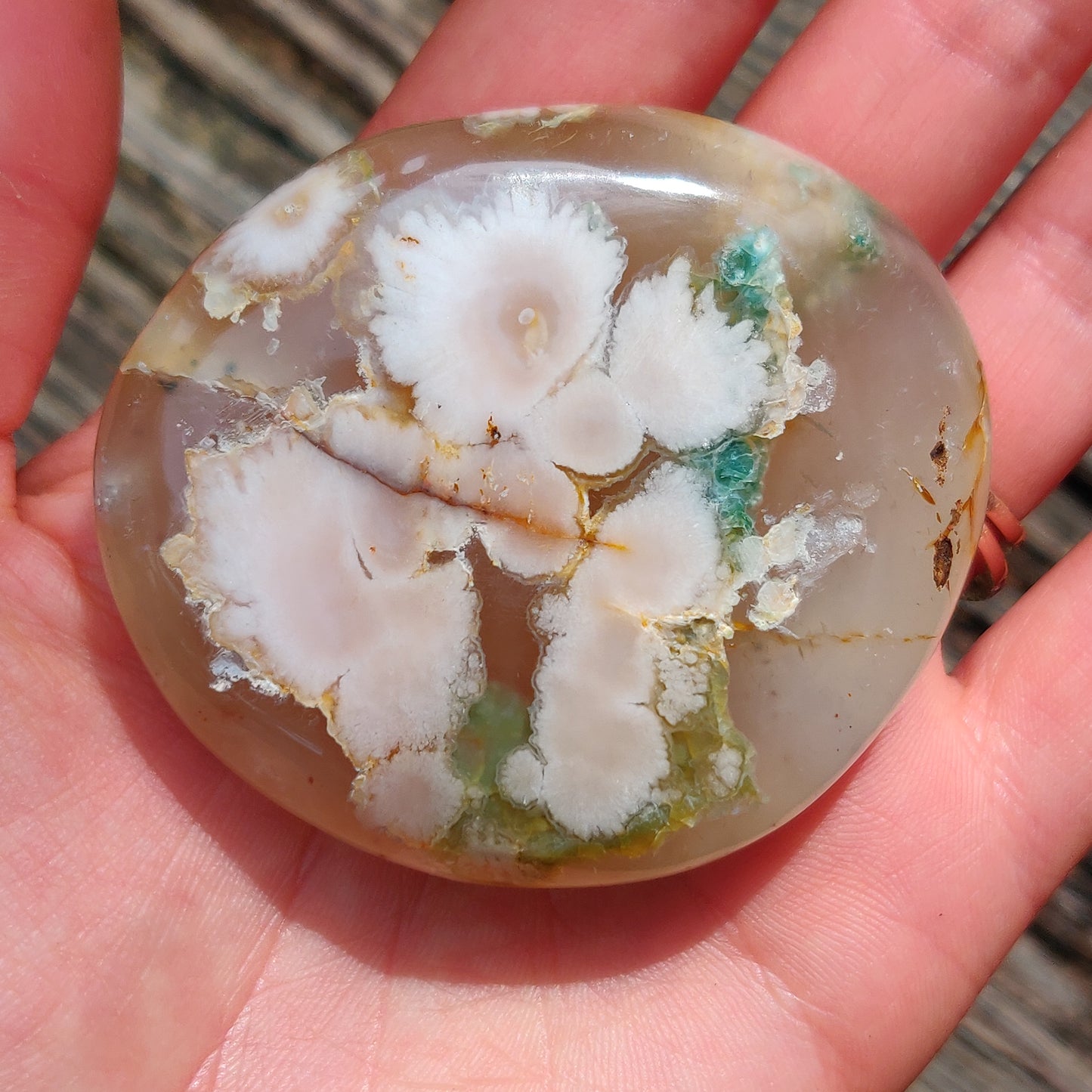 Flower Agate Palm Stone (#40)