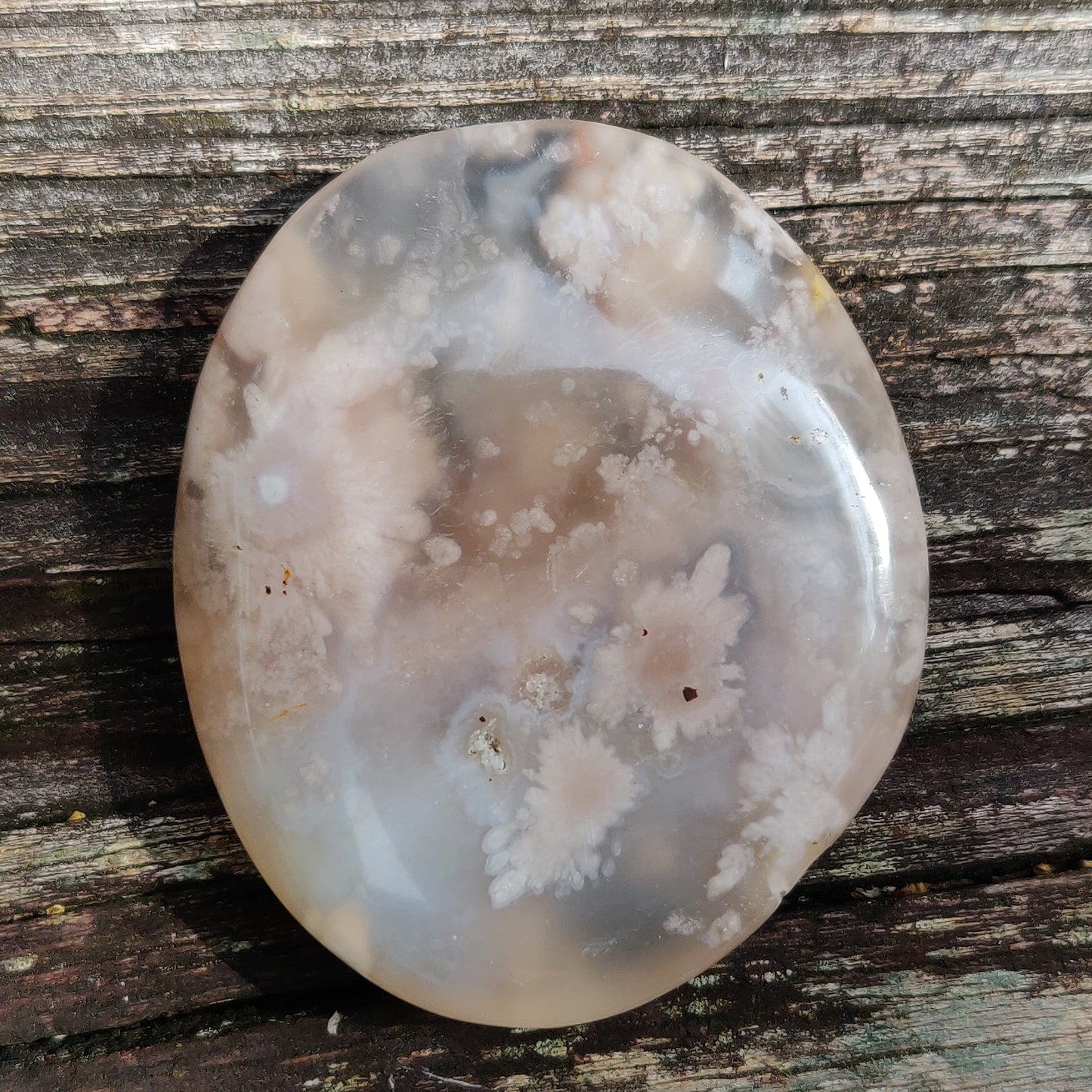 Flower Agate Palm Stone (#42)