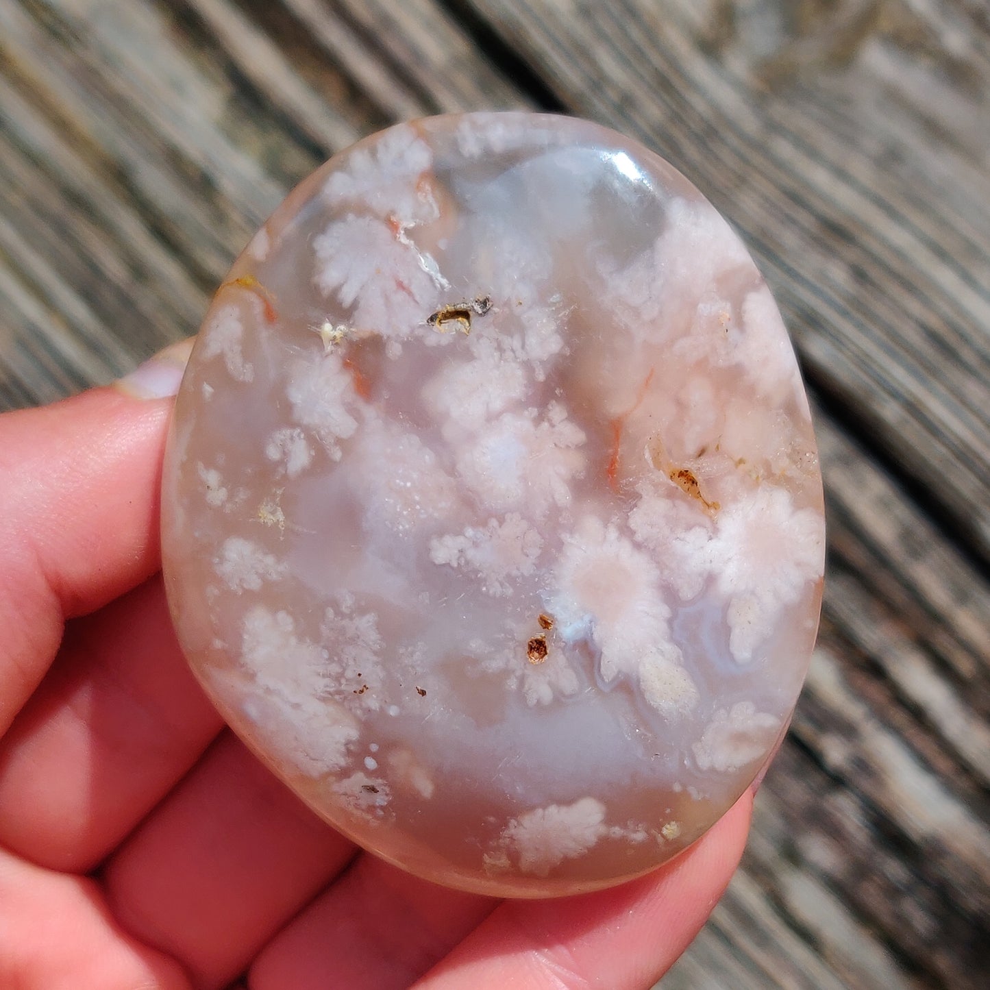Flower Agate Palm Stone (#42)