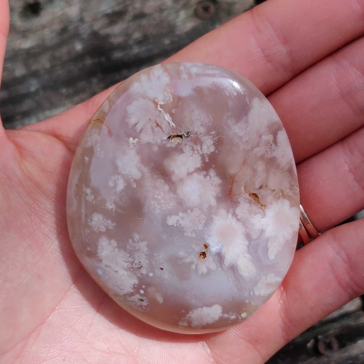 Flower Agate Palm Stone (#42)