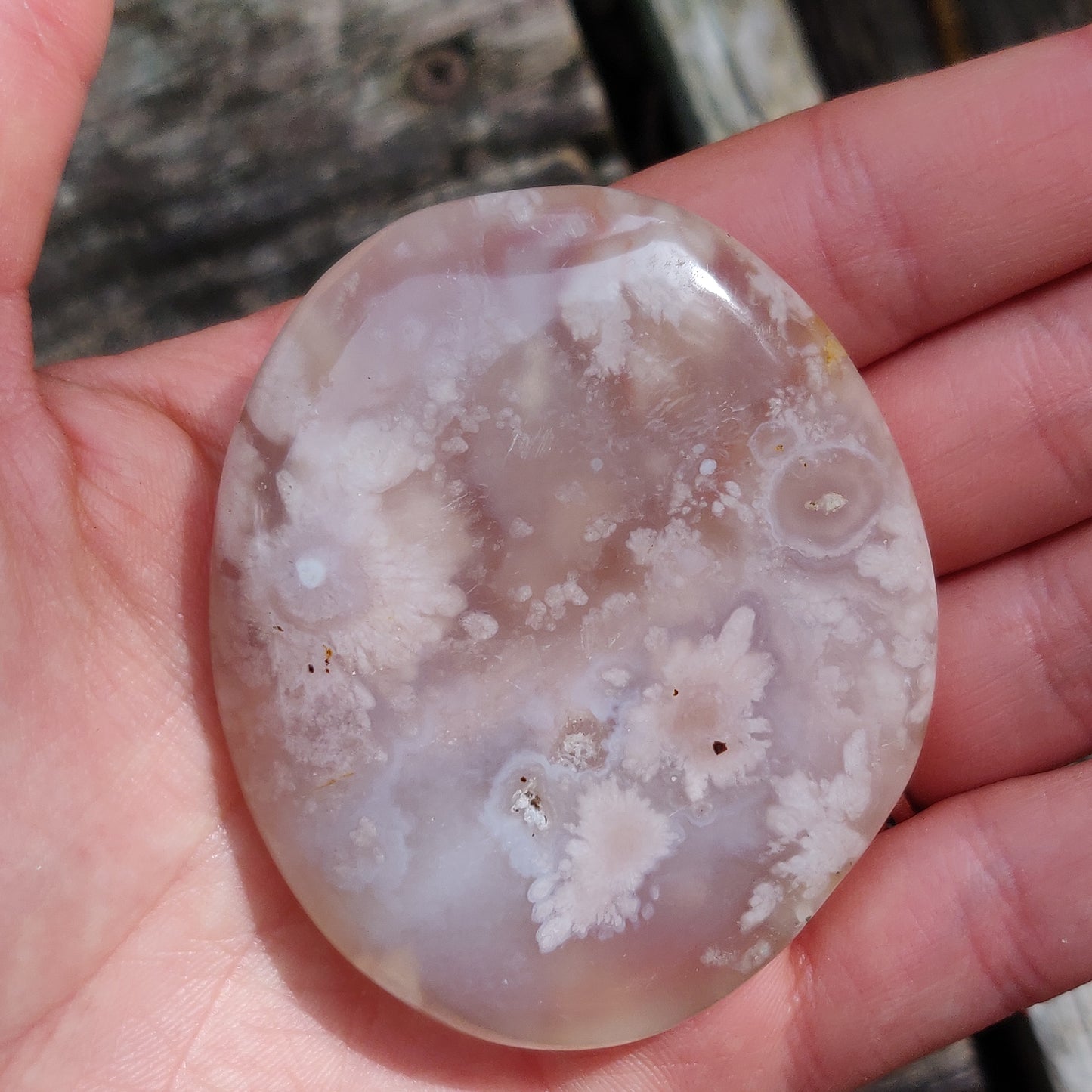 Flower Agate Palm Stone (#42)