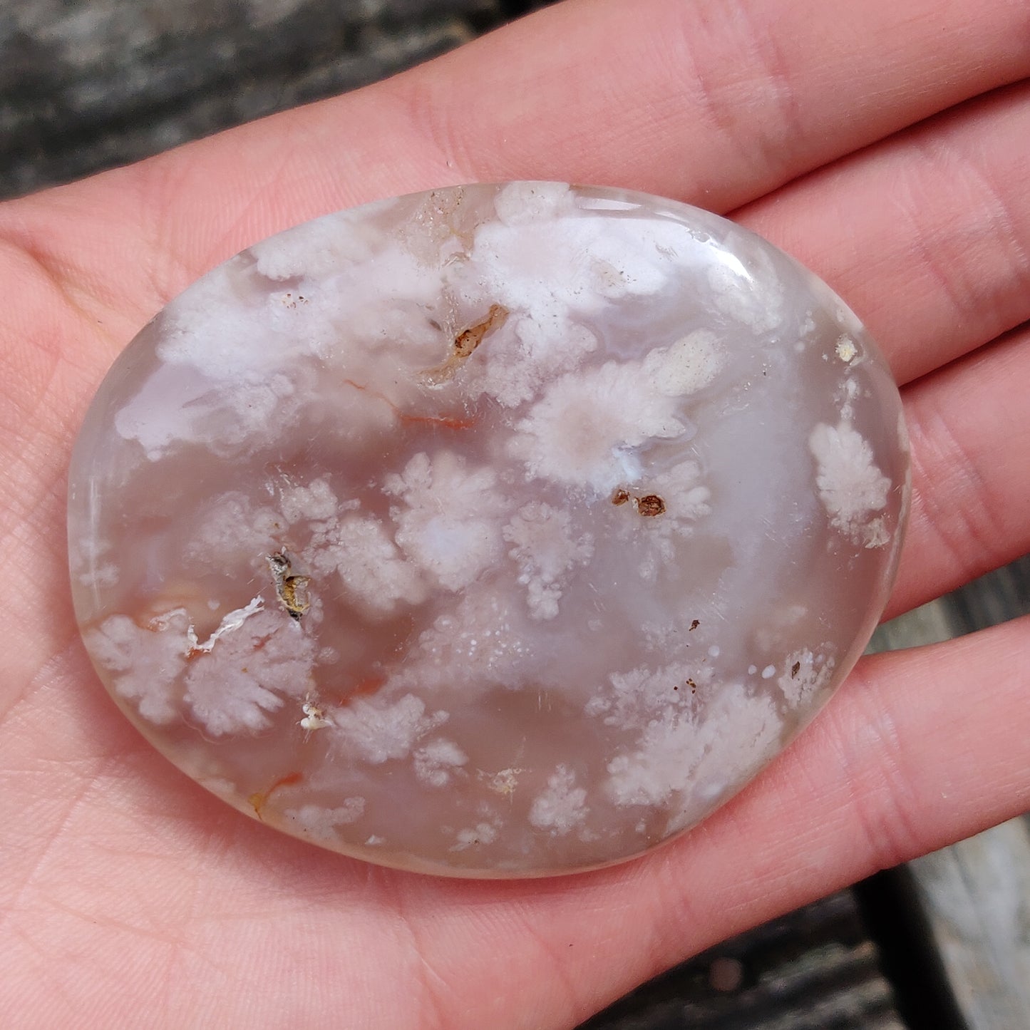 Flower Agate Palm Stone (#42)
