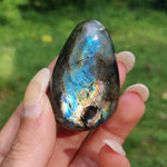 Labradorite Palm Stone (#204)