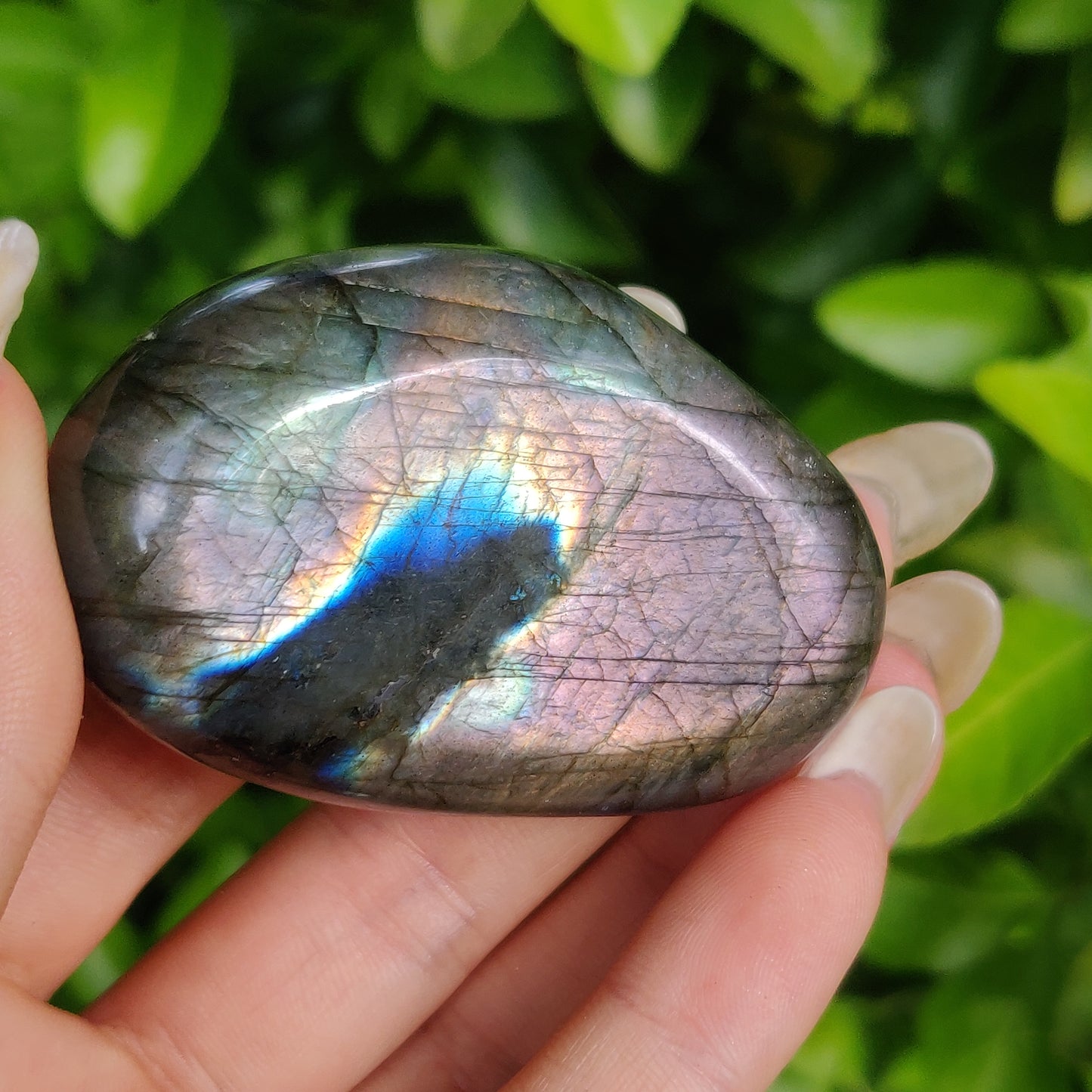 Labradorite Palm Stone (#205)