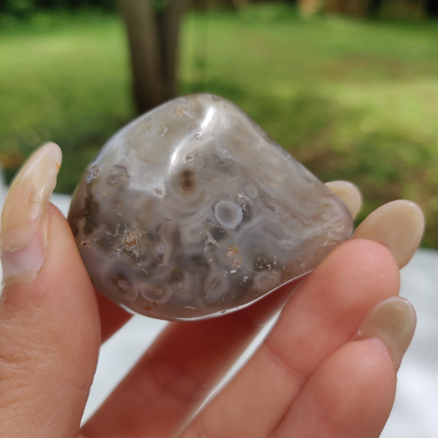 Enhydro Agate Palm Stone (#6)