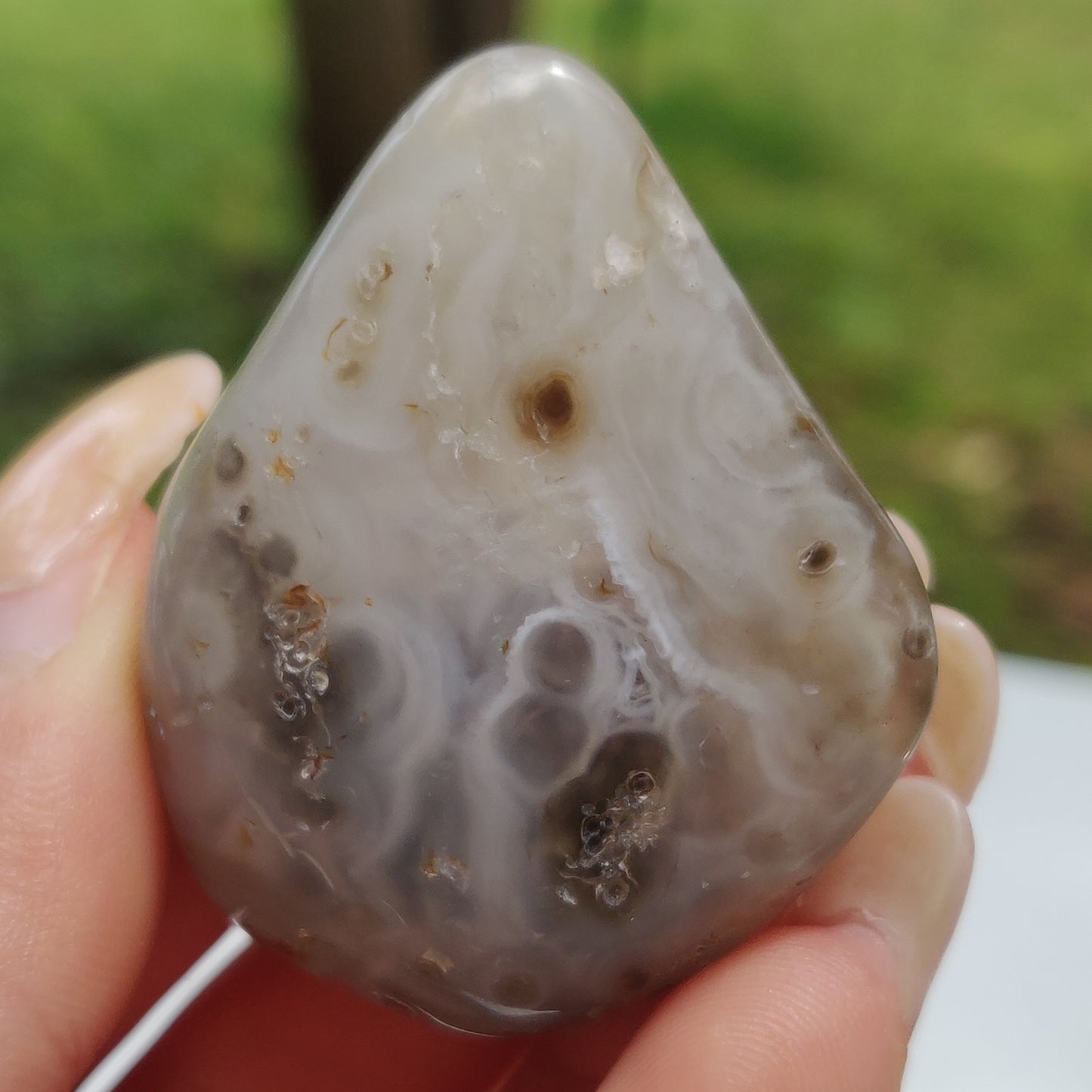 Enhydro Agate Palm Stone (#6)