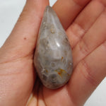 Enhydro Agate Palm Stone (#6)