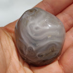 Enhydro Agate Palm Stone (#12)