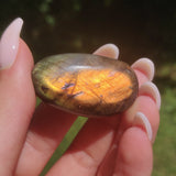 Labradorite Pocket Stone (#198) - Simply Affinity