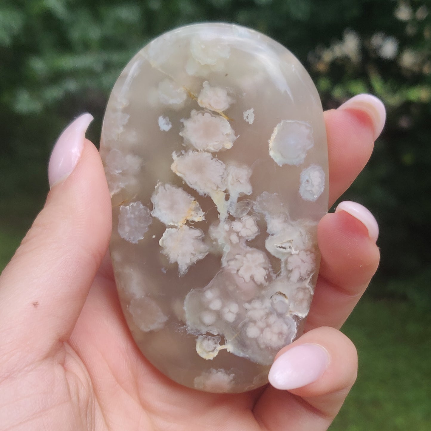 Flower Agate Palm Stone (#43)
