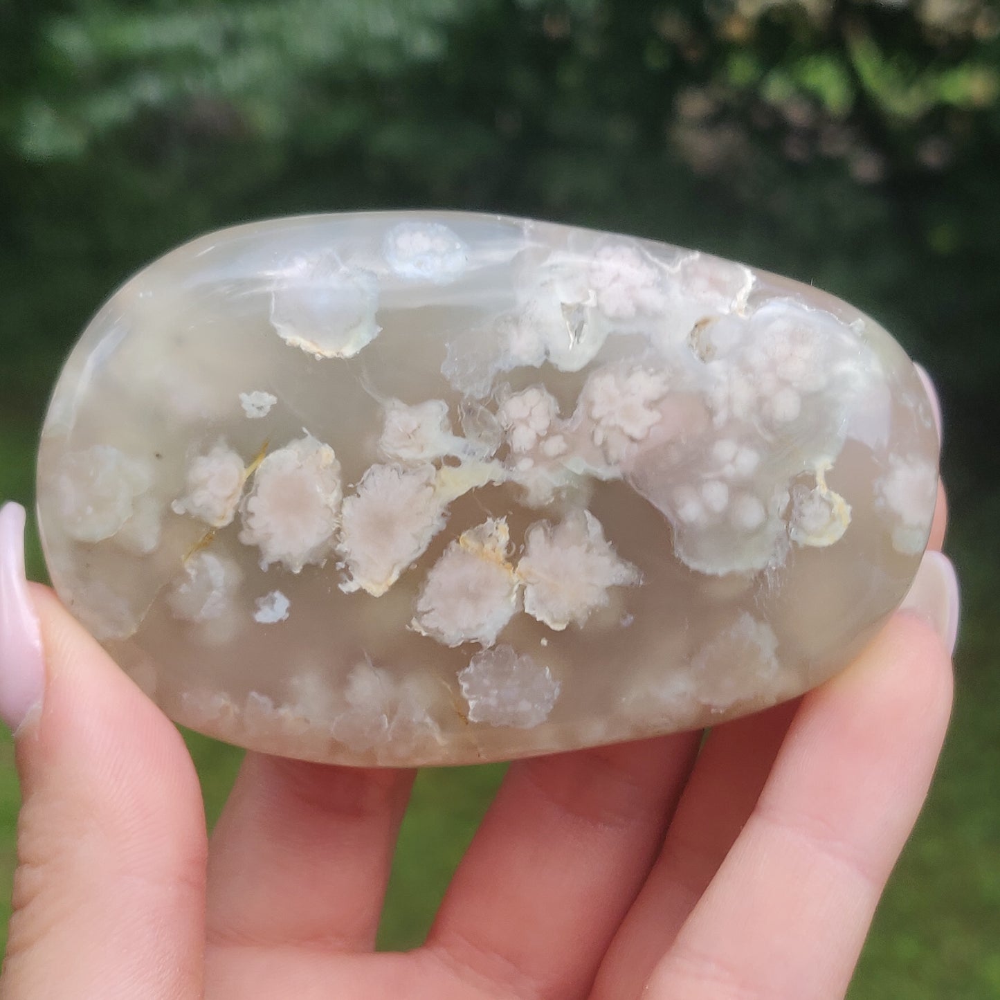 Flower Agate Palm Stone (#43)