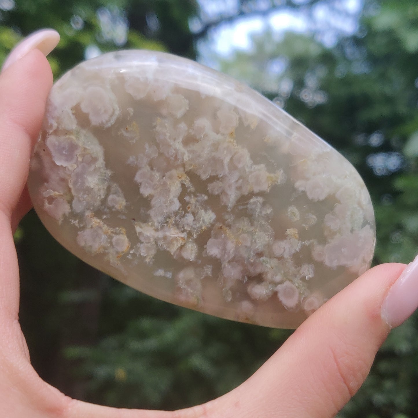 Flower Agate Palm Stone (#43)
