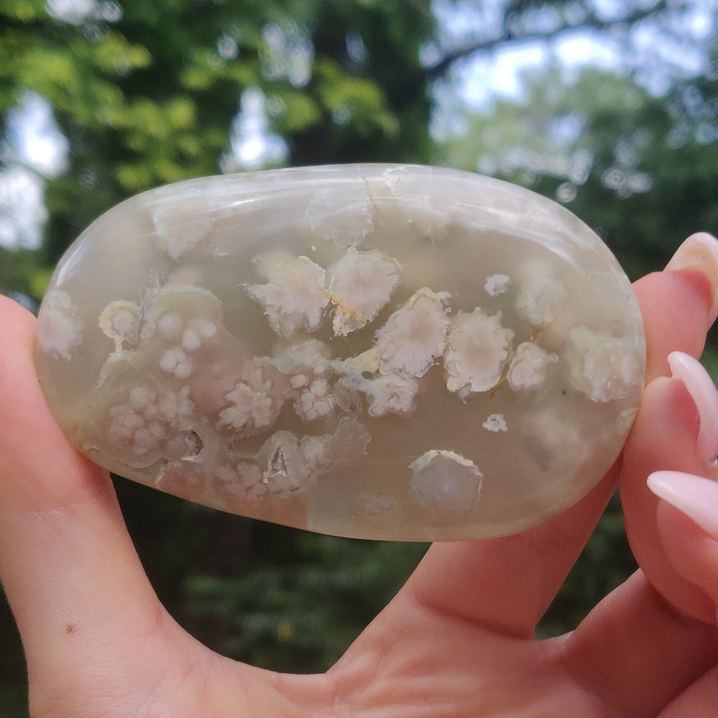Flower Agate Palm Stone (#43)