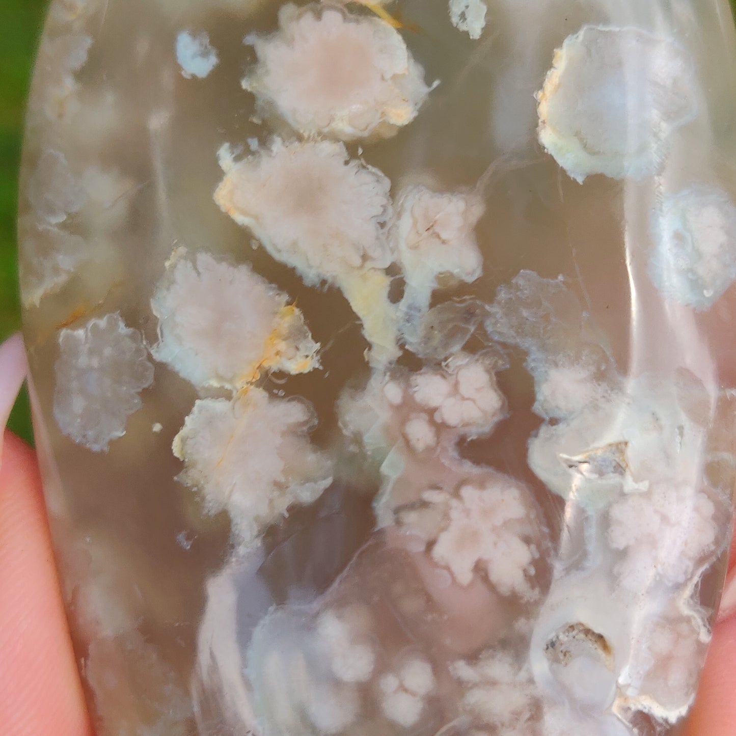 Flower Agate Palm Stone (#43)