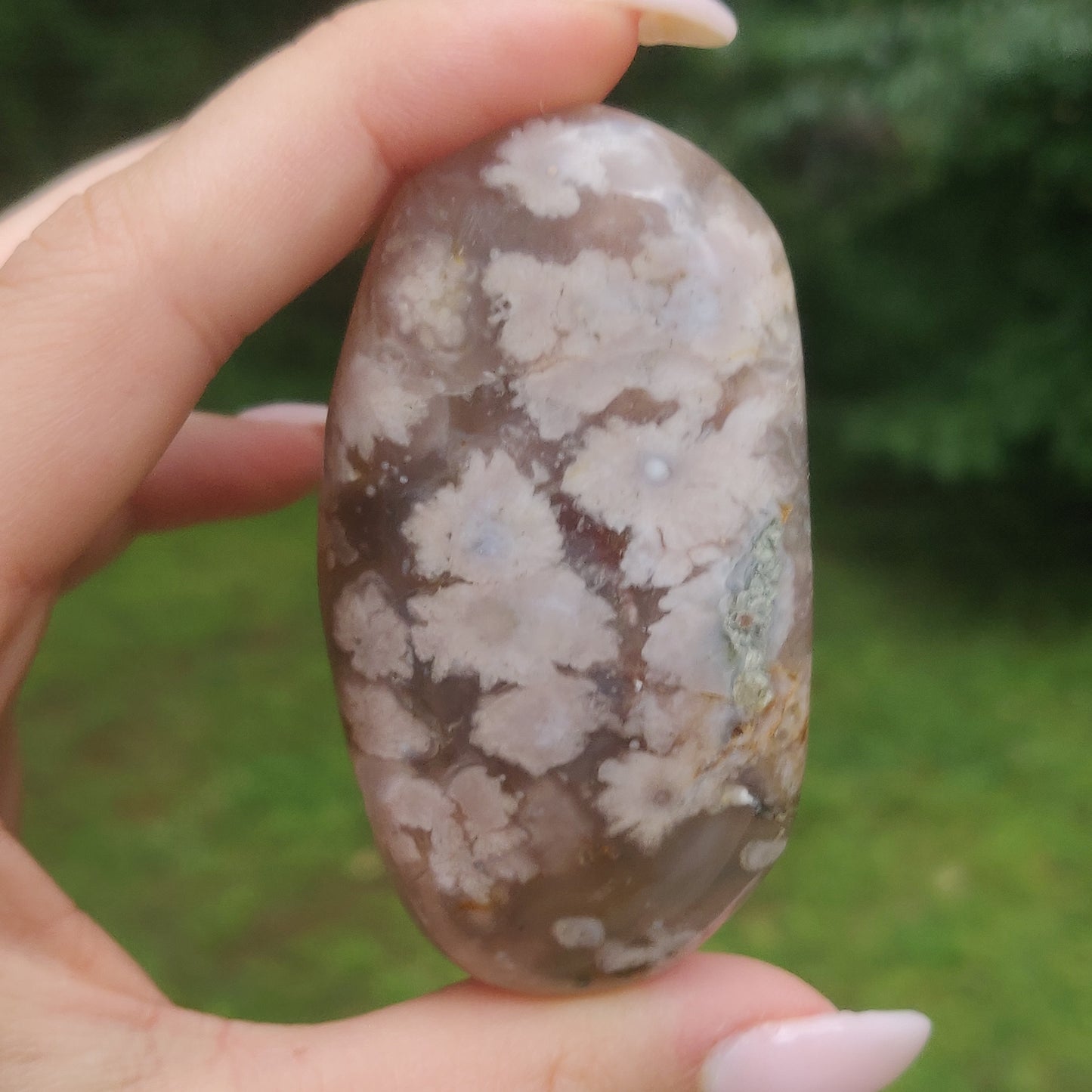 Flower Agate Palm Stone (#44)