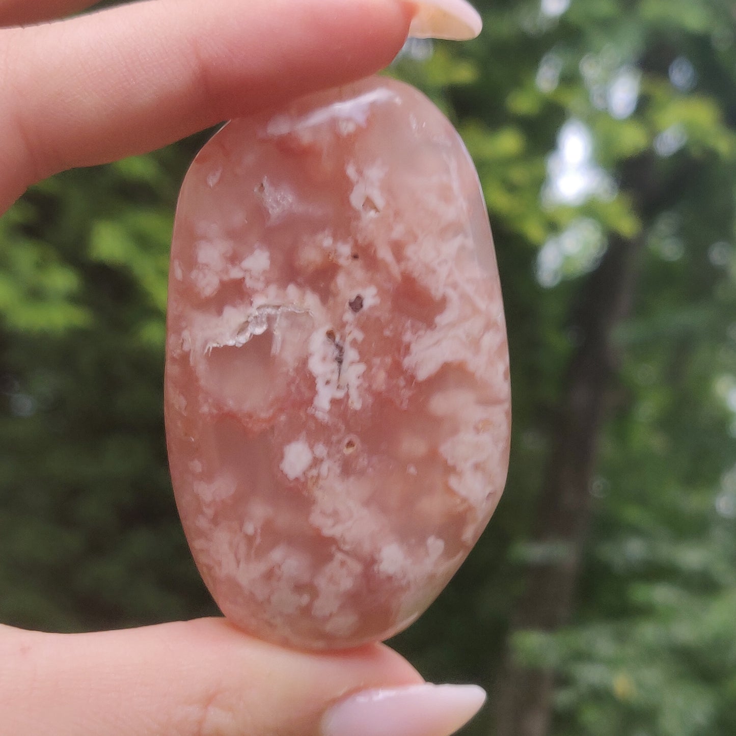 Flower Agate Palm Stone (#45)