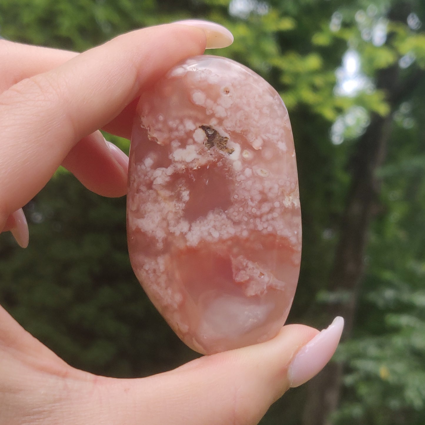 Flower Agate Palm Stone (#45)