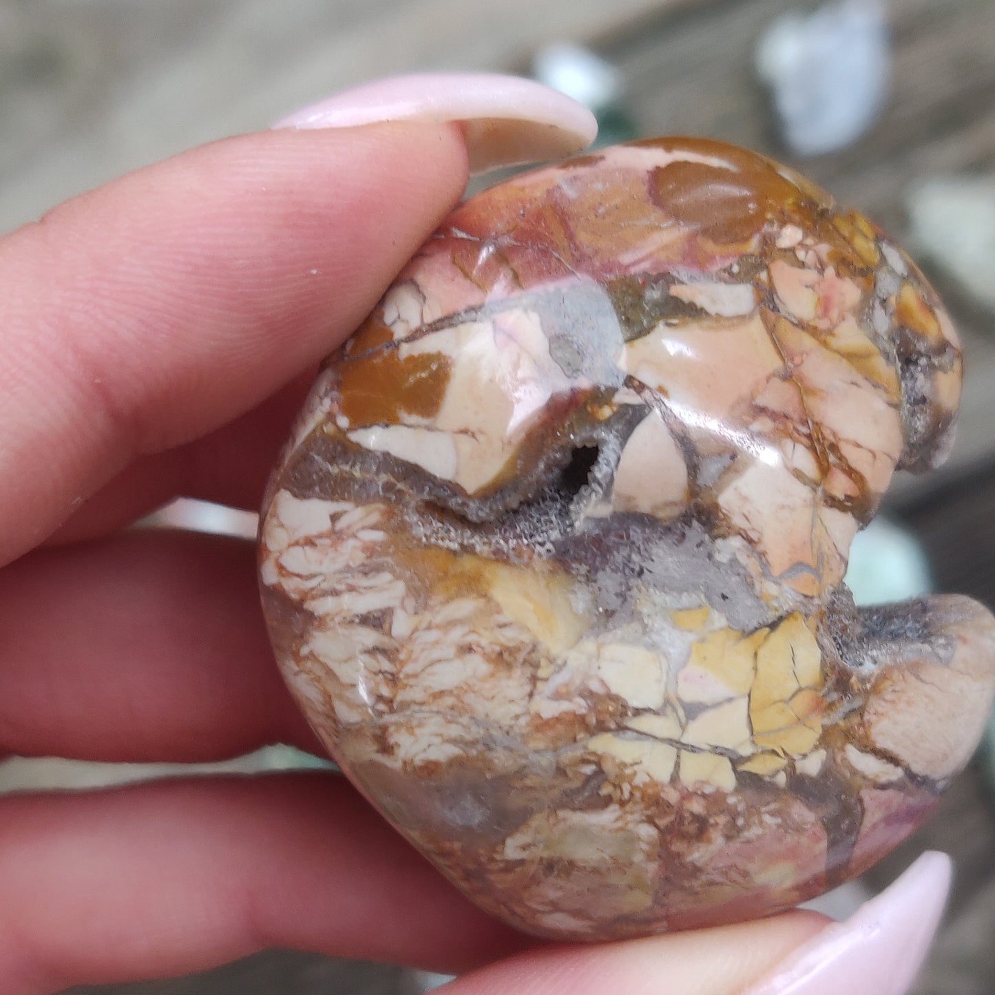 Ibis Jasper Palm Stone (#2)