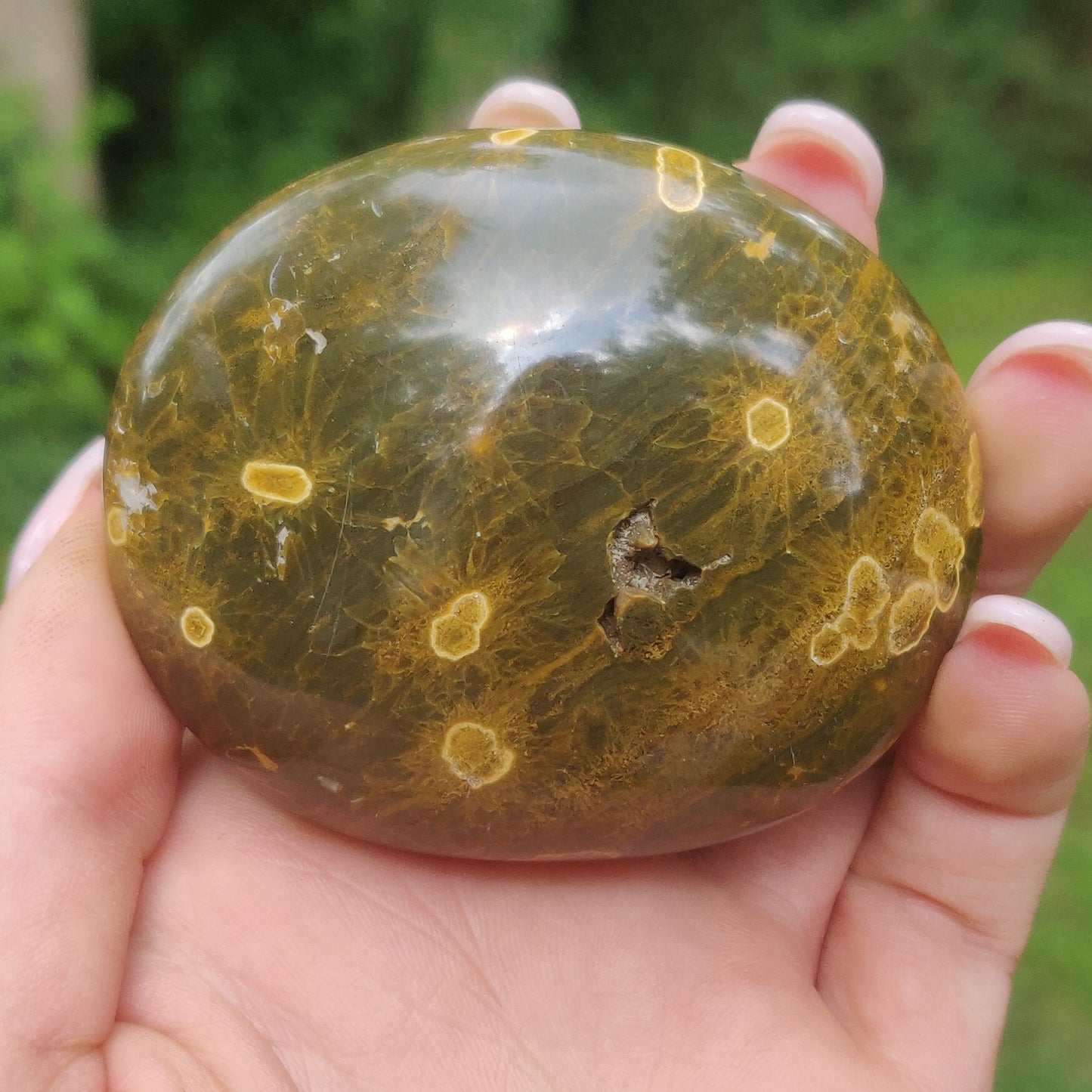 Kabamby Ocean Jasper Palm Stone (#2)