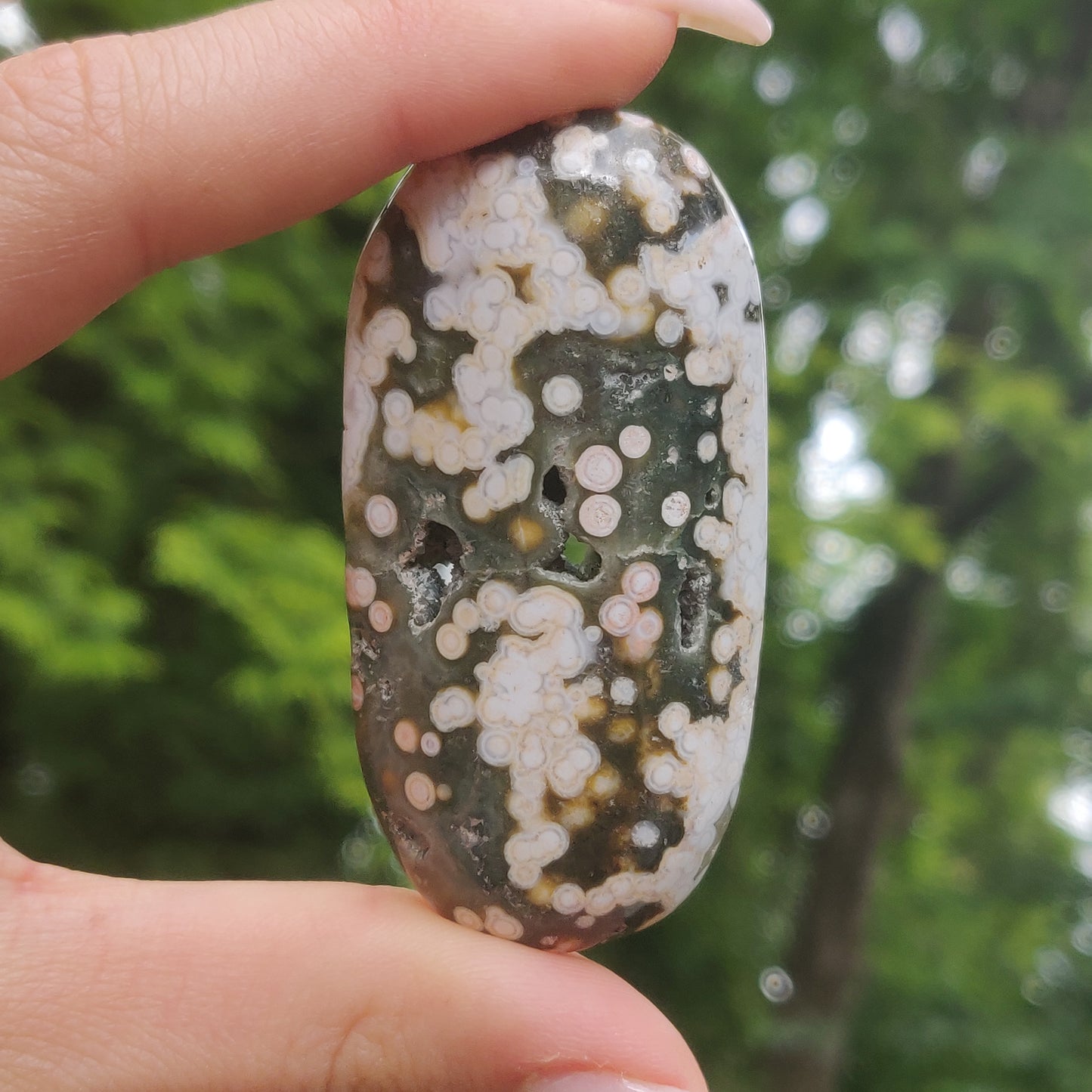 Ocean Jasper Palm Stone (#16)