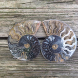 Black Ammonite Pair (#3)
