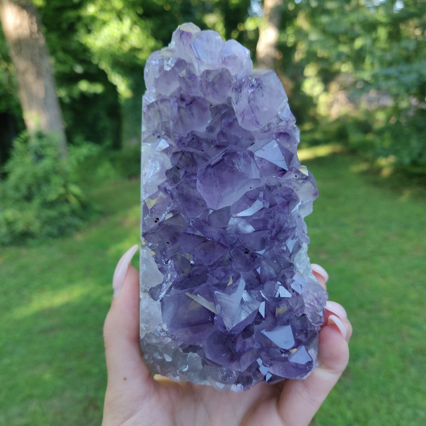 Amethyst Geode Free Form, Cut Base (#35)