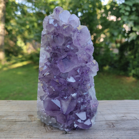 Amethyst Geode Free Form, Cut Base (#35)