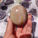 Polychrome Jasper Palm Stone (#3)