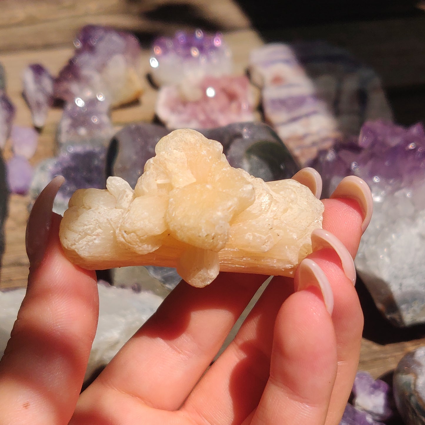 Peach Stillbite Cluster (#34)