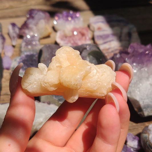 Peach Stillbite Cluster (#34)