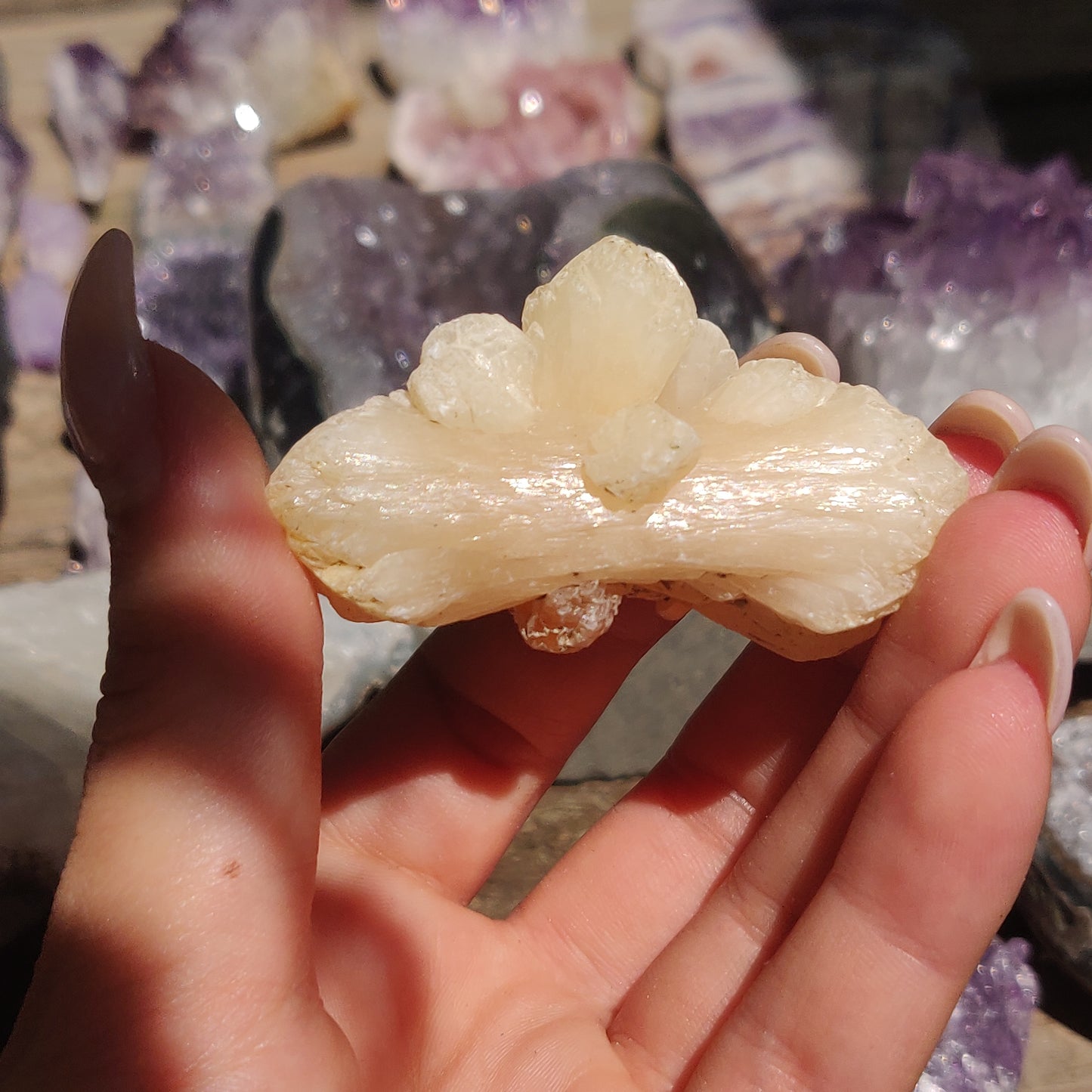 Peach Stillbite Cluster (#34)
