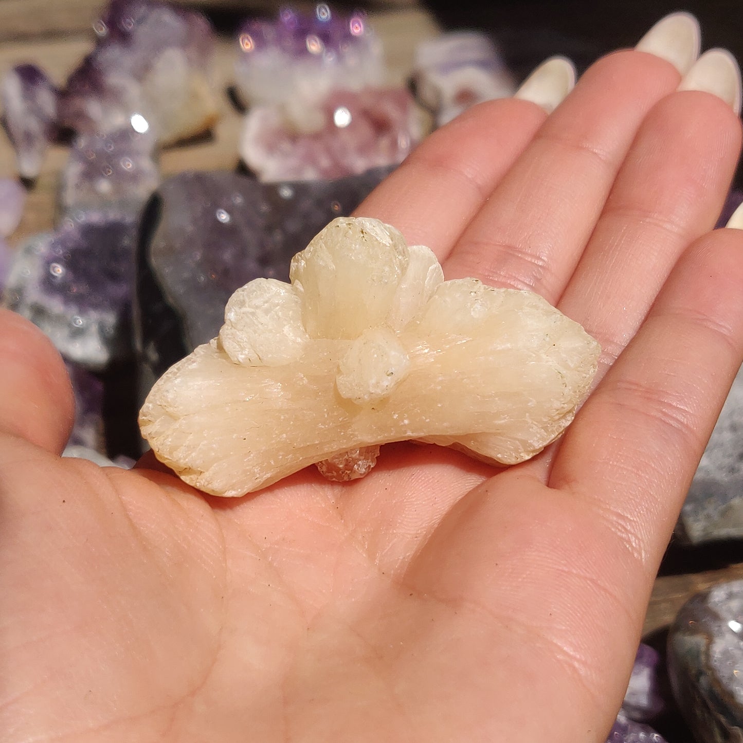 Peach Stillbite Cluster (#34)