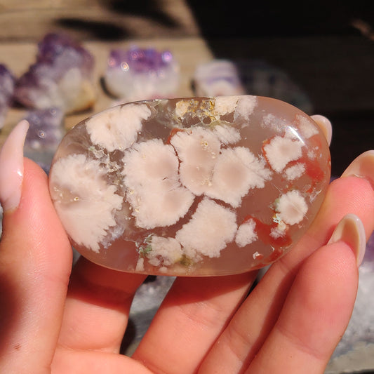 Flower Agate Palm Stone (#49)