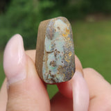 Australian Boulder Opal Rough Specimen(#8) - Simply Affinity