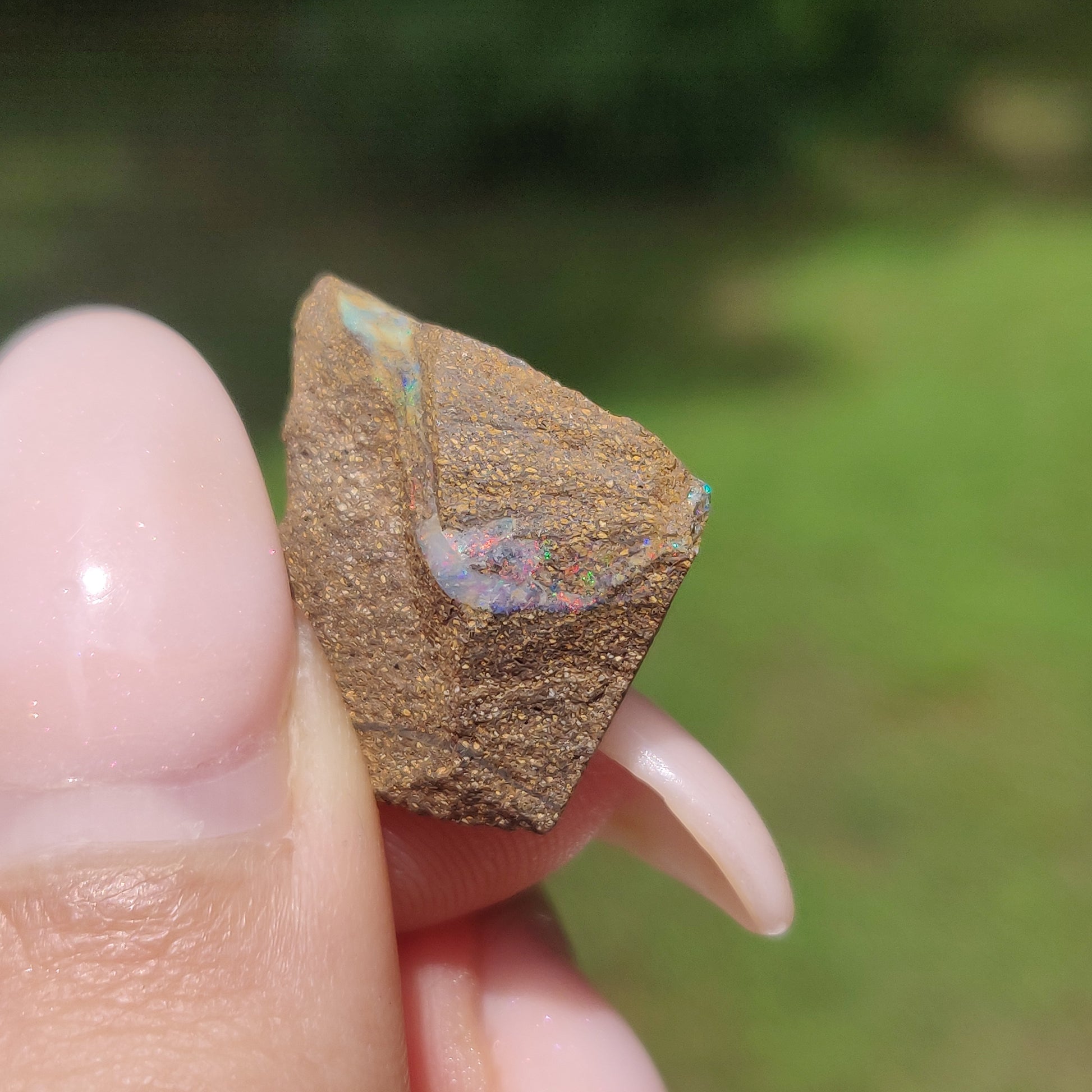 Australian Boulder Opal Rough Specimen(#9) - Simply Affinity