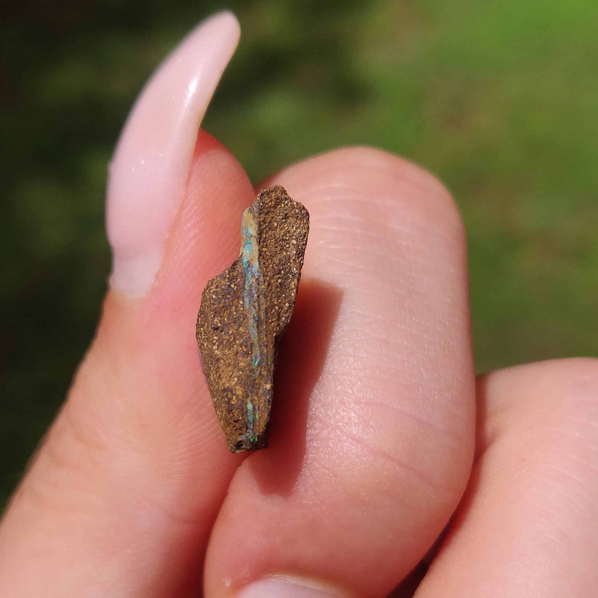 Australian Boulder Opal Rough Specimen(#9) - Simply Affinity