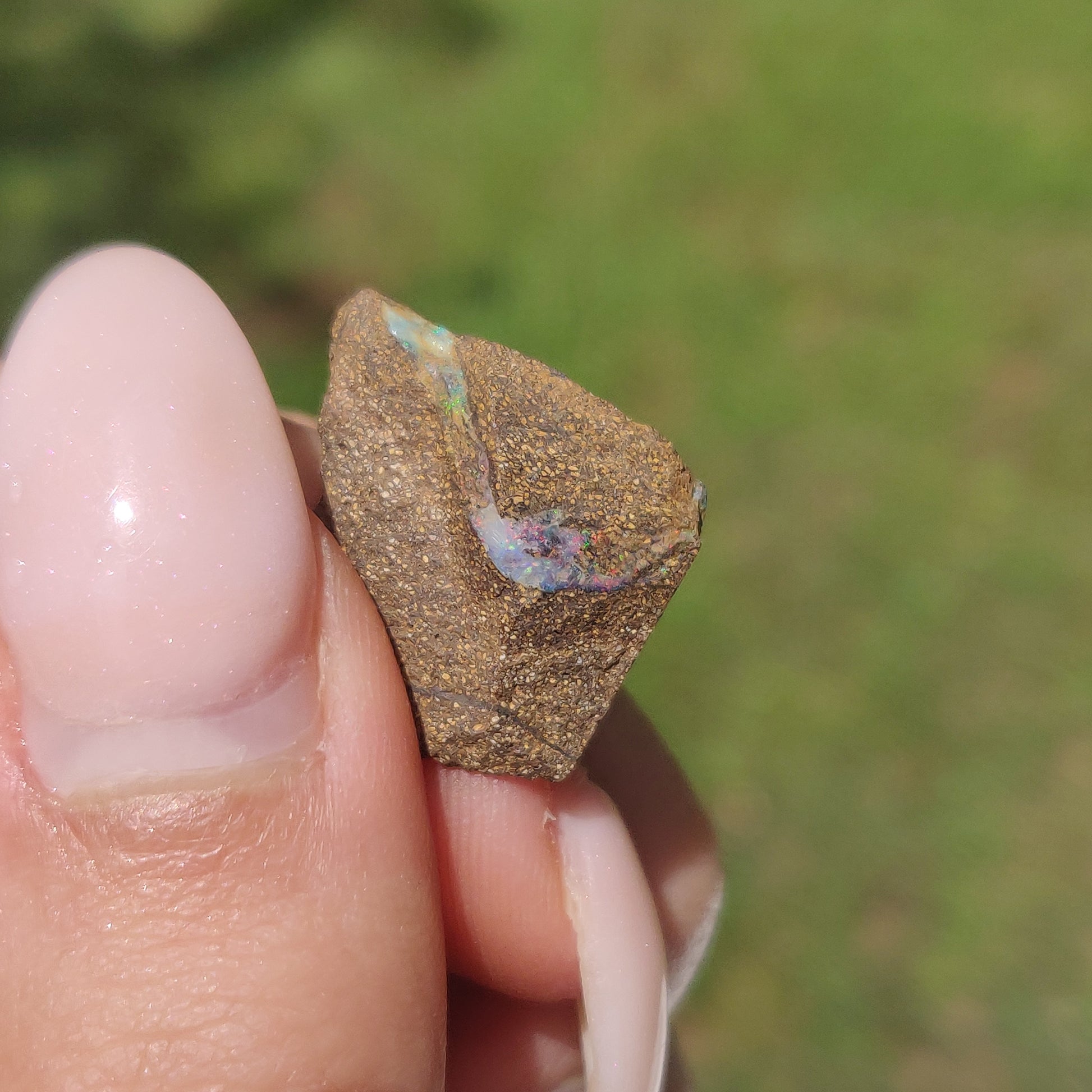 Australian Boulder Opal Rough Specimen(#9) - Simply Affinity