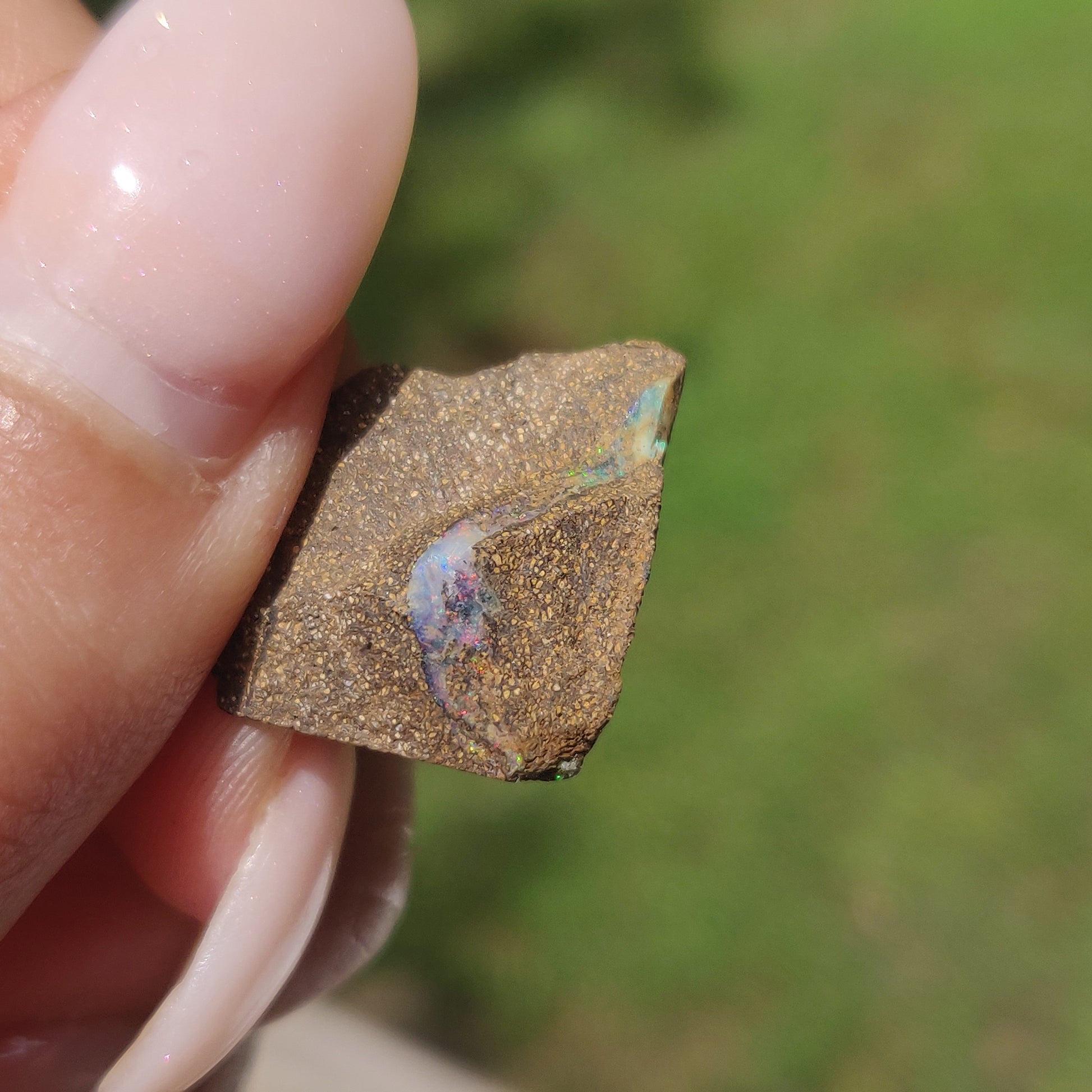 Australian Boulder Opal Rough Specimen(#9) - Simply Affinity