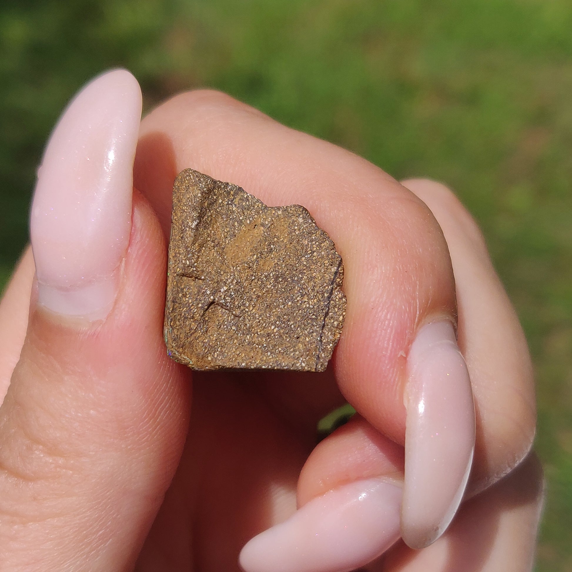 Australian Boulder Opal Rough Specimen(#9) - Simply Affinity
