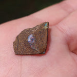 Australian Boulder Opal Rough Specimen(#9) - Simply Affinity