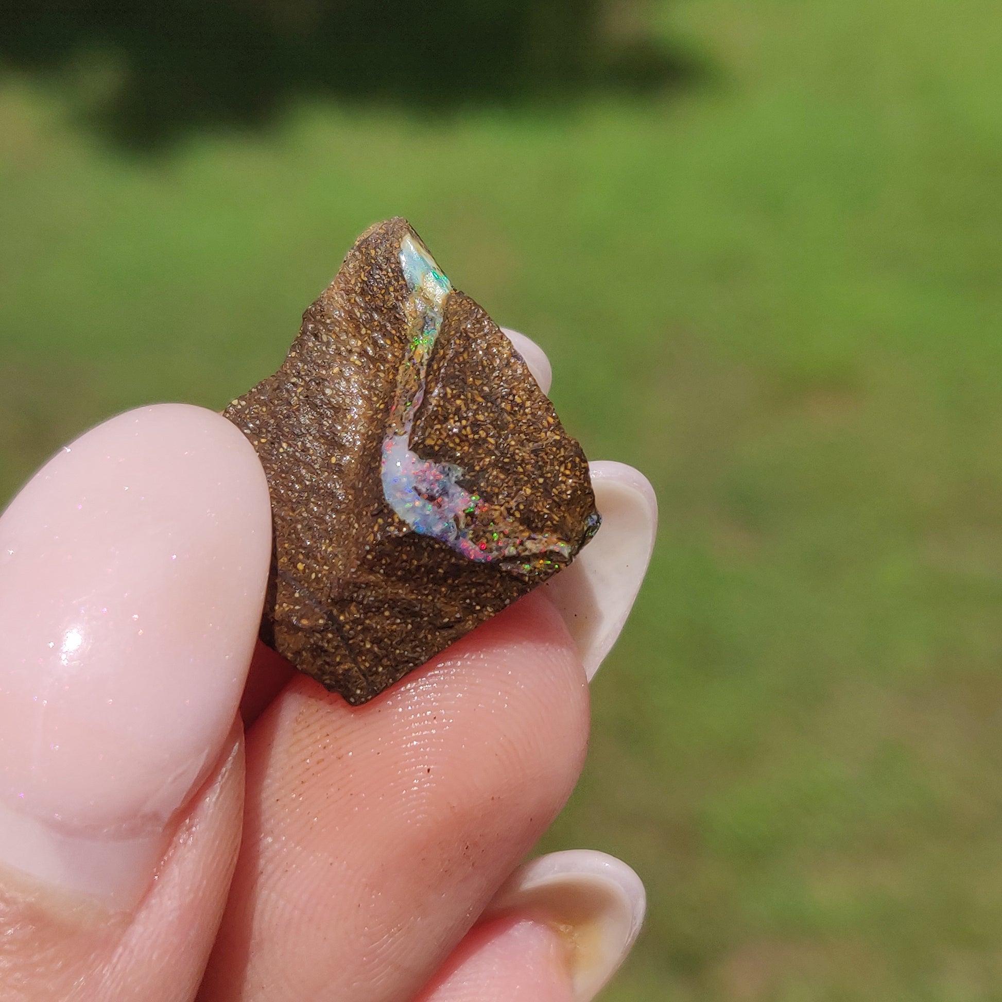 Australian Boulder Opal Rough Specimen(#9) - Simply Affinity