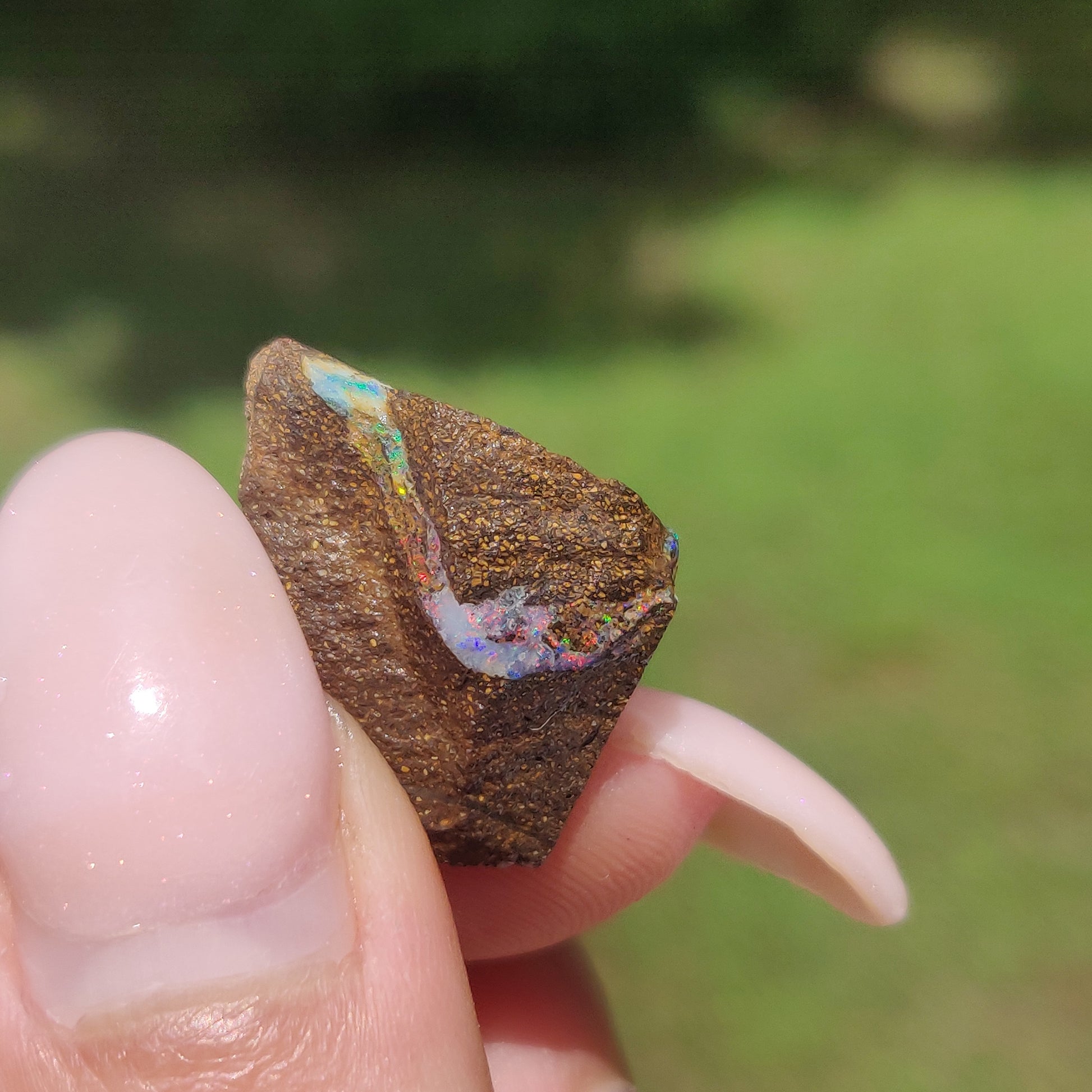 Australian Boulder Opal Rough Specimen(#9) - Simply Affinity