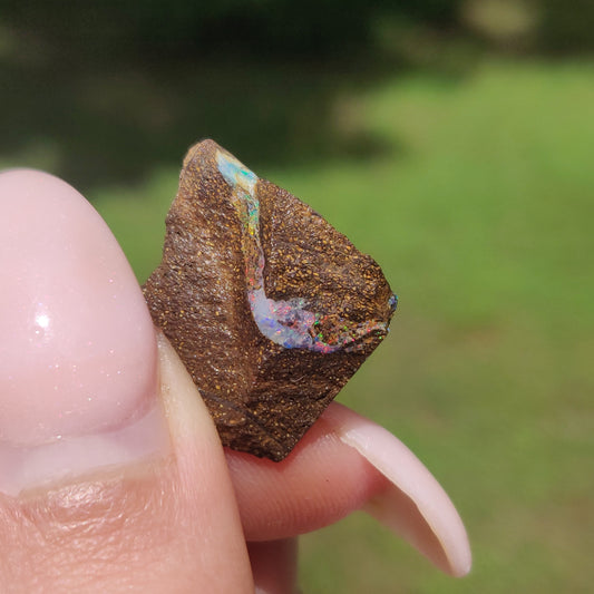 Australian Boulder Opal Rough Specimen(#9) - Simply Affinity