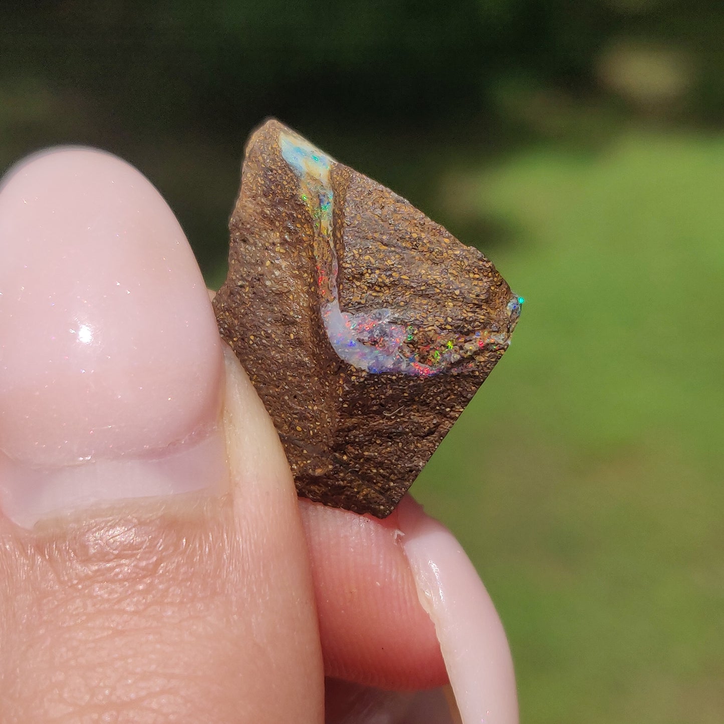 Australian Boulder Opal Rough Specimen(#9) - Simply Affinity