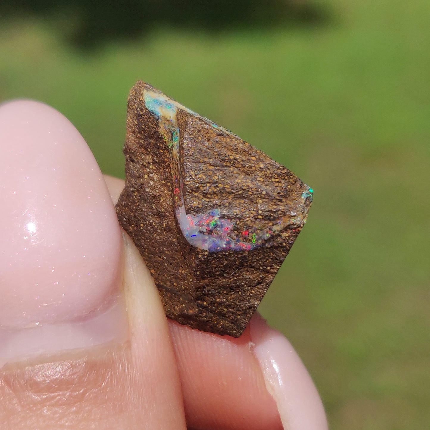 Australian Boulder Opal Rough Specimen(#9) - Simply Affinity