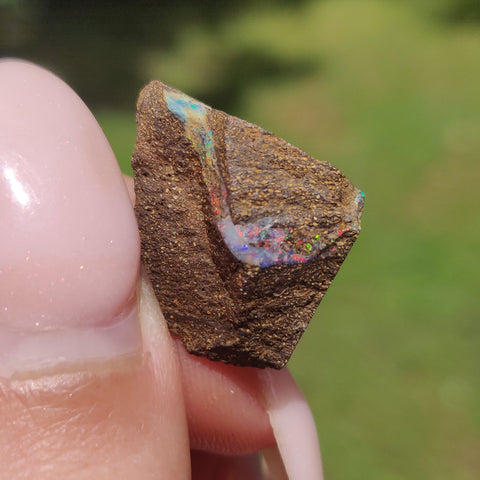 Australian Boulder Opal Rough Specimen(#9) - Simply Affinity