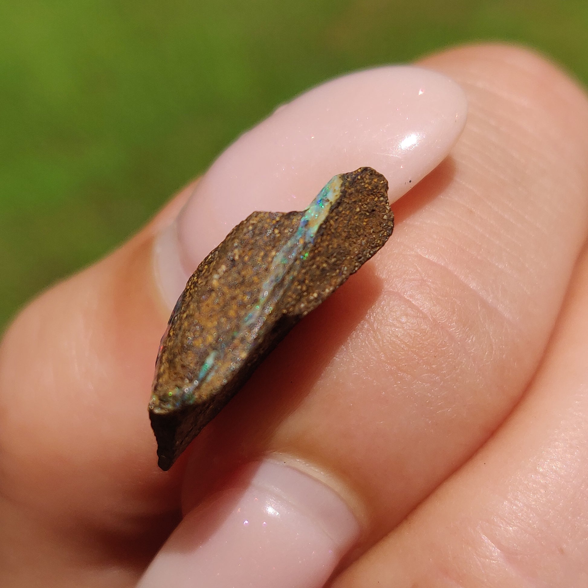 Australian Boulder Opal Rough Specimen(#9) - Simply Affinity