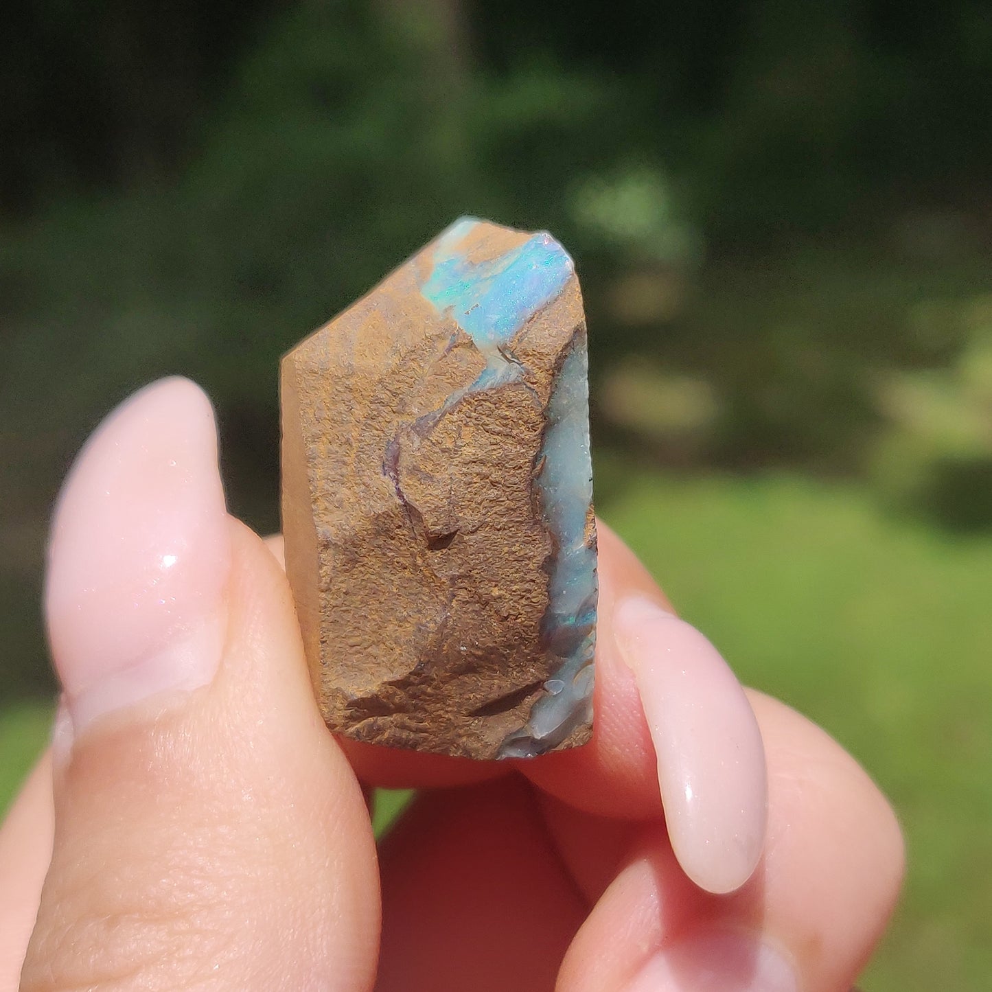 Australian Boulder Opal Rough Specimen(#11) - Simply Affinity